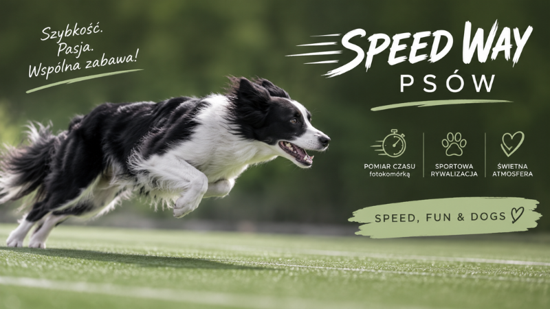 Speedway na zakończenie LATA